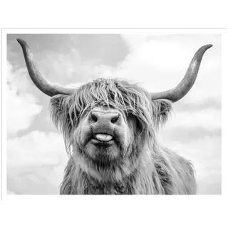 MULMF Highland Cattle Poster Und Drucke Schwarz Weiß Wandkunst Leinwand Malerei Kuh Wandbilder Für Wohnzimmer Dekoration-60X80 cm Kein Rahmen
