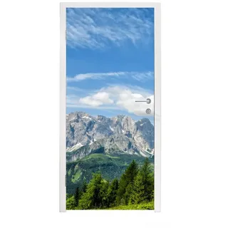 MuchoWow Türtapete Alpen - Berge - Gras, Matt, bedruckt, (1 St), Türfolie Selbstklebend, Türtapete, Türdeko Poster, 95x235 cm bunt 95 m x 235 m