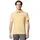 Point sand Dune XL