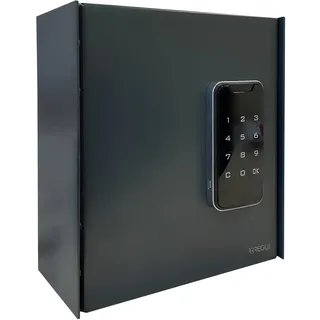 ARREGUI Keypro PLPRO14 Schlüsselschrank mit Elektronikschloss und 14 Haken für Schlüssel | Schlüsseltresor mit Zahlencode | Einfache Montage | Schlüsselkasten mit Zahlenschloss | 22x20x10 cm|anthrazit