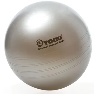 Togu Powerball Premium Silber 65 cm