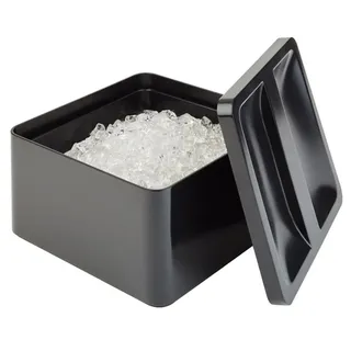APS Eisbox, 27 x 27 cm H: 15 cm; 5 Liter