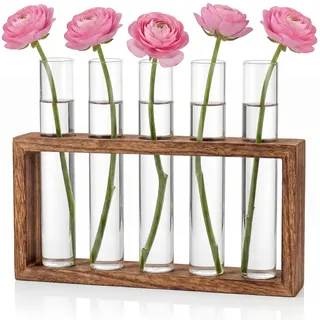 Cieex Kleine Vintage Blumenvase, Modern Glas Reagenzgläser Mit Ständer Holz, Vasen Deko Set für Hydrokultur Pflanzen Tischdeko Hause Büro Wohnzimmer Küche Oma Geschenk zum Muttertag Muttertagsgeschenk