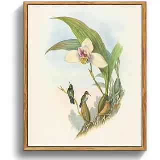 Vintage Vogel Leinwandbilder mit Holzrahmen 30x40cm Aesthetic Wanddeko