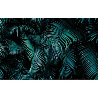 Rasch Tapete 363074 - Fototapete auf Vlies mit Palmenblättern in Petrol und Schwarz aus der Kollektion Magicwalls - 3,00 m x 4,77 m (LxB)