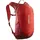 red dhalia/high risk red