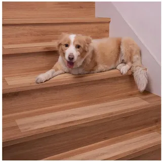 luxuskollektion Stufenmatte 15 x 60 cm Transparent