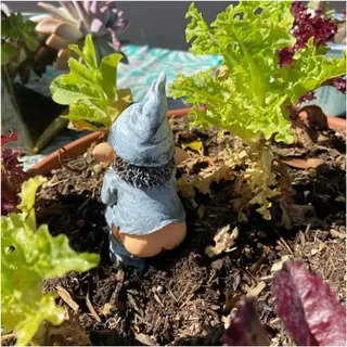 HABITZ Freche lustige Outdoor-GNOME-Statue, Gartenzwerg, Kunstharz, Elfen, Gartenfiguren, Figuren, Rasendekoration for Terrasse, Hof, Rasendekoration, Geschenke