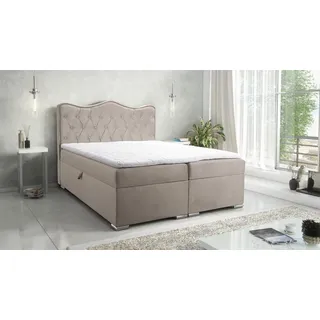 Boxspringbett Schlafzimmerbett SULTAN New in Stoff Velvet X Cappuccino 140x200cm