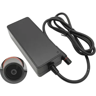 PowerSmart Ladegerät 54,6 V 2 A