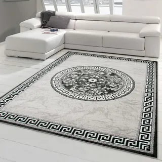 Teppich-Traum Orientteppich mit Glitzergarn | Bordüre & Verzierungen in Kreisform | grau anthrazit Creme 160x220 cm