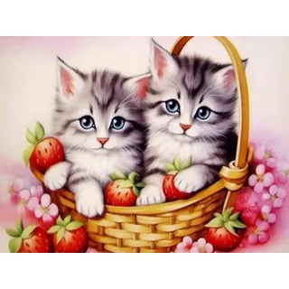 Bimkole DIY 5D Diamond Painting Zubehör Katze, Tierische Erdbeere Diamant Malerei Kit Voll Runde Bohrer Malen nach Zahlen Malerei Stickerei Kreuzstich Diamond Dekoration 30X40 cm