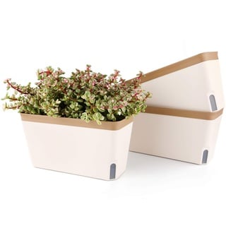 T4U 27cm Selbstwässernder Blumenkasten Kräutertopf mit ERD-Bewässerungs-System Braun 3er-Set Kunststoff Blumentopf Pflanzgefäß Rechteck für Küche Balkon Fensterbank