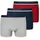 95/5 Shorts Organic Cotton webgummibund mehrfarbig 3er Pack