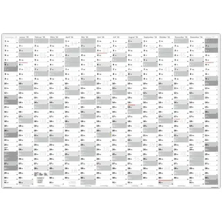 LYSCO Wandkalender Classic2 Wandplaner 2025 + 2026 / 2026 DIN A0/A1 - 14 Monate (gerollt), Plakatkalender grau