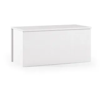 Dmora Aufbewahrungsbox Miltonia 90 x 45 x 45 cm 1-tlg. weiß