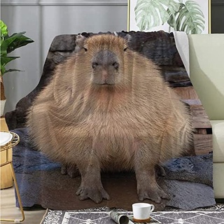 Kuscheldecke Capybara Kuscheldecke 220x240cm Wohndecke Fleecedecke Kuscheldecke Kinder Sofa üBerwurfdecke Flauschige Decke Blanket Tagesdecke Camping Decke Reisedecke 3D Drucken
