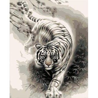YSCOLOR Malen Nach Zahlen Für Erwachsene Weiße Tiger Diy Acryl Pigment Malset Für Kinder Und Erwachsene Und Anfänger Mit Malpinseln Leinwand 40X50cm