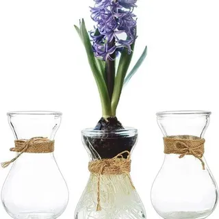 Famanu Glasvase Dekorative kleine Glasvasen - Vintage Look