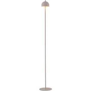 just light. Bellis 1D13NT00C020A Braun