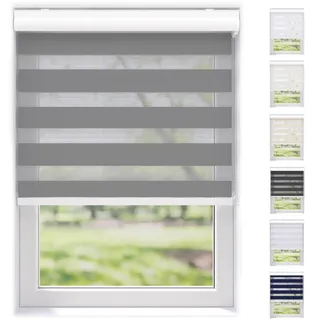 EFIXS Doppelrollo mit Kassette Montage Wand/Decke mit Bohren Breiten: 40-220, Höhe: bis 240 Hier: BxH (170 x 175) cm (Grau) Premium Duorollo, oder ohne Bohren mit Klemmhalter am PVC-Fenster