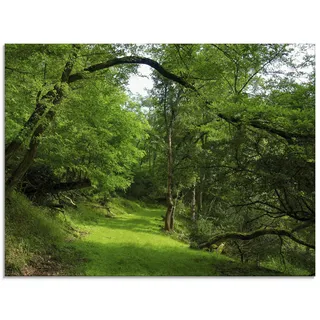 Glasbild ARTLAND "Grüner Weg durch den Wald" Bilder Gr. B/H: 80 cm x 60 cm, Glasbild Wald Querformat, 1 St., grün Glasbilder in verschiedenen Größen