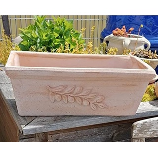 Original Italienischer winterfester Blumenkasten 50 cm mit Olivendekor echt Terracotta Terrakotta Garten Deko Pflanztopf Balkonkasten