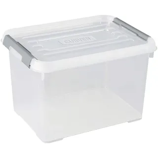 Curver Aufbewahrungsbox Handy 40 x 29 x 26 cm 1-tlg. transparent, silber