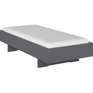 Rauch Futonbett Phoenix ¦ grau ¦ Maße (cm): B: 95 H: 41