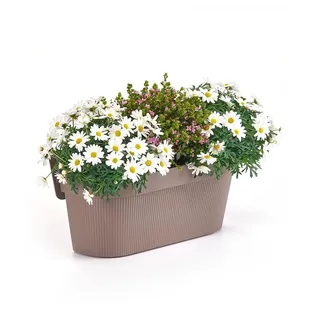 Euro3plast Geländertopf Rise UP Hängetopf 25 oder 50 cm lang 9 Farben zur Wahl (Taupe, 50 cm)