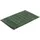 60 x 100 cm evergreen