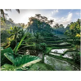 NATHAN - Puzzle 2000 Teile - Im Herzen von Bali - Erwachsene und Kinder ab 14 Jahren - Hochwertiges Puzzle Escape Collection - 12001518