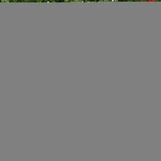 Leuchtendes Rentier für den Außenbereich, Weihnachten, Urlaub, Outdoor, Eisen-Elch mit Glockenschleife – Weihnachts-Hirsch-Dekoration, Rasendekoration, Hirsch-Hof-, Dekoration für Terrasse