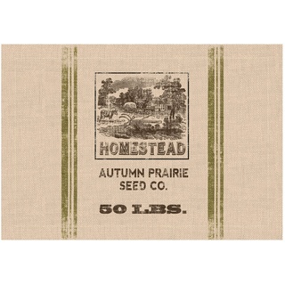 Heritage Lace Seed Labels Homestead Tischset, 35,6 x 50,8 cm, Natur, Polyester, 35.56 x 50.8 x 0.64 cm