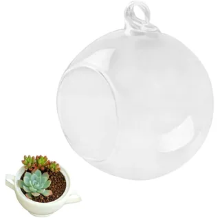 FUNOMOCYA 1Stück Klare Hängende Glasvase mit Flacher Basis Kugelform für Blumen Pflanzen Terrarien DIY Hochzeits und Wohnraumdekoration für Landschaftsgestaltung