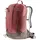 15 l caspia/pepper