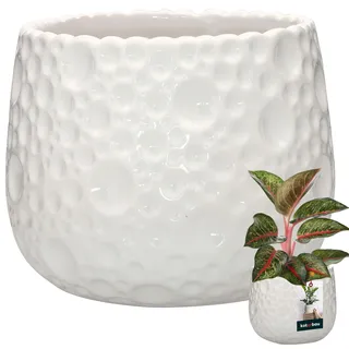 KOTARBAU® Blumentopf Keramik rund ⌀ 14,5 cm Höhe: 15 cm Weiß Übertopf Keramik Übertöpfe für Zimmerpflanzen Blumentopf modern kleine Übertöpfe Pflanztopf Keramik Orchideentopf Keramik Übertopf