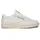 Vintage Chalk / Paperwhite / Glen Green 40