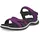 Purple 41