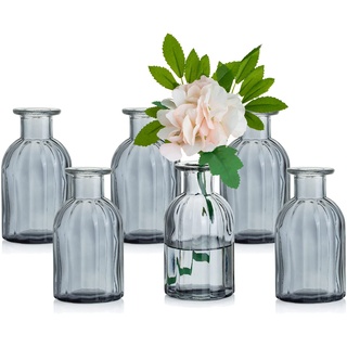 Glasseam Kleine Vasen Set Glasvase, 6 Stück Mini Blumenvase Grau Vintage Vase Glas Rund Glasvasen Flaschenvase Bunt Klein Geriffelte Tischvase Vasenset Glasflasche Deko für Hochzeit Tischdeko
