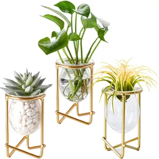 Halter Für Luftpflanzen, Goldenes Metall, Heimdekoration, 3er-set, Geometrische Mini-terrarien, Glasvase, Tillandsia-ausstellungsständer Für Frauen, Hydrokulturvasen Fürs Büro (hoher Goldener Blumento