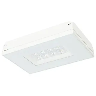 Fischer LED-Sicherheitsleuchte MXDE129