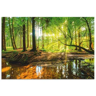 Wandbild ARTLAND "Wald mit Bach" Bilder Gr. B/H: 90 cm x 60 cm, Alu-Dibond-Druck Wald Querformat, 1 St., grün Kunstdrucke als Alubild, Outdoorbild, Leinwandbild, Poster, Wandaufkleber