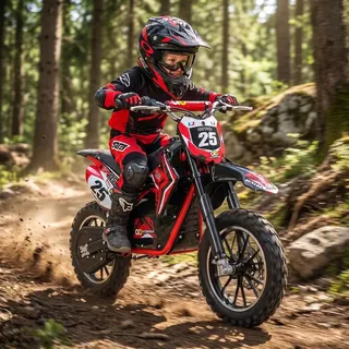 ACTIONBIKES MOTORS Mini Crossbike Gepard rot (PR0018560-02)