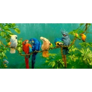HERWS Leinwand-Kunstdruck Bunte Papageien Vogel Auf Zweigen Ölgemälde Auf Leinwand Poster Bild Auf Wandmalerei Für Wohnzimmer Ation Wohnzimmer Schlafzimmer Küche Dekoration