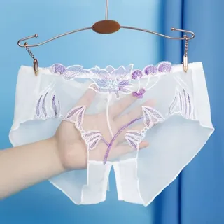 Nahtlose Slips Panties für Damen mit floralem Mesh und transparentem Design (XL Weiß)