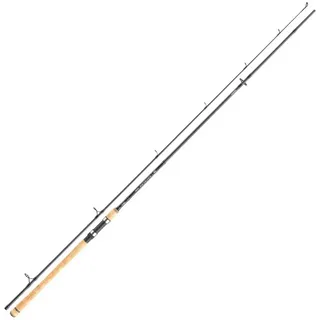 Daiwa Exceler Trad. 2.40m 10-40g Spinnrute