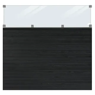 Plus Sichtschutzelement Plank Inkl. Glas  (L x B x H: 163 x 174 x 2,5 cm, Schwarz RAL 9005)