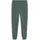 ESS 2 Color No 1 Logo Sweatpants FL cl Regular Grün S