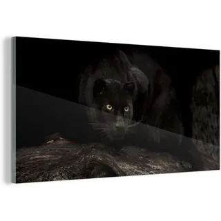 Famanu Glasbild Panther im Wald - 80x40 cm - Mehrfarbig